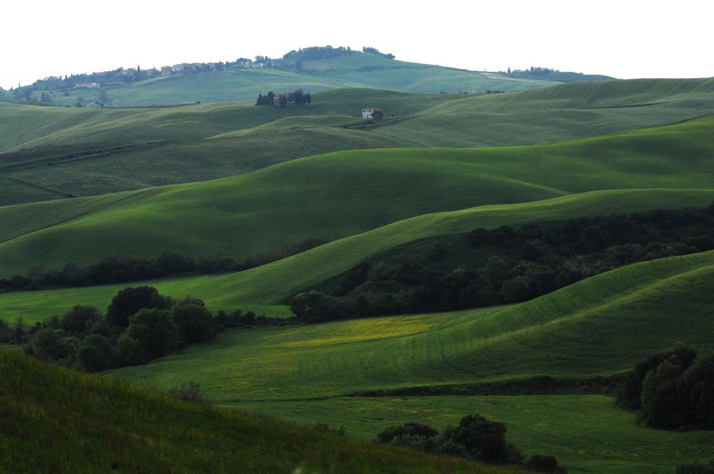 Agrihotel Il Palagetto Volterra Exteriör bild